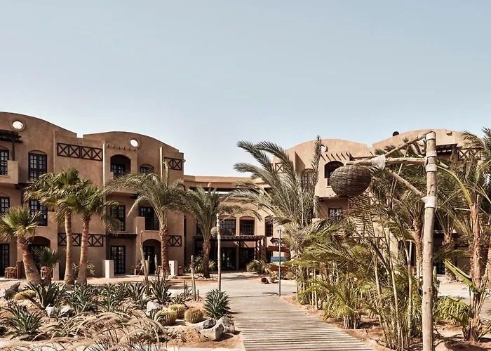 Resort Cook's Club El Gouna (adults Only) 4*