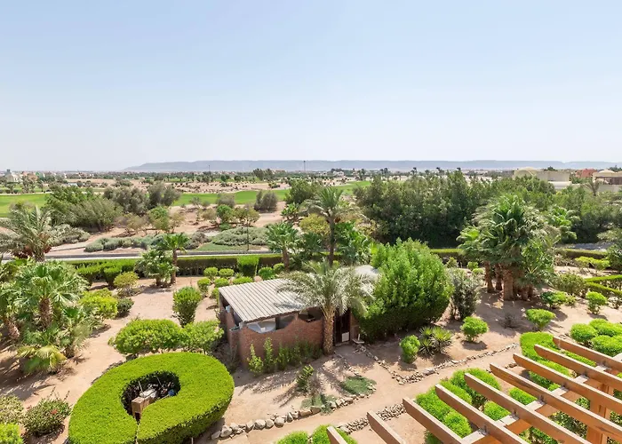 Cook's Club El Gouna (adults Only)
