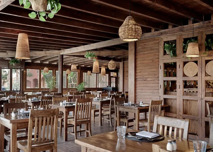 Cook's Club El Gouna (adults Only) Resort Hurghada