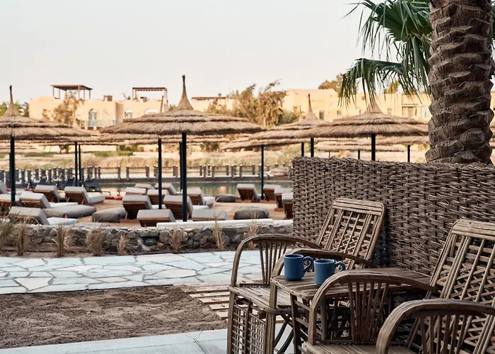 Resort Cook's Club El Gouna (adults Only) 4*