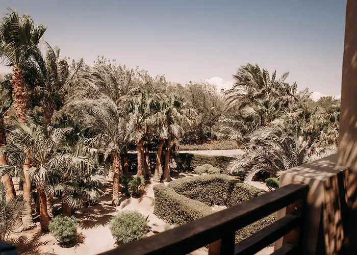 Cook's Club El Gouna (adults Only) Resort Hurghada