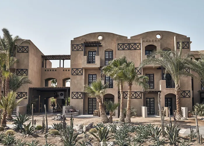 Cook's Club El Gouna (adults Only) Resort 4*