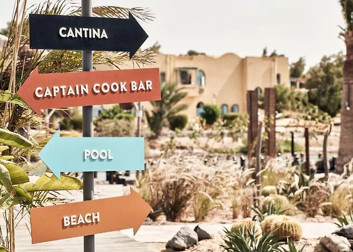 Cook's Club El Gouna (adults Only) 4*